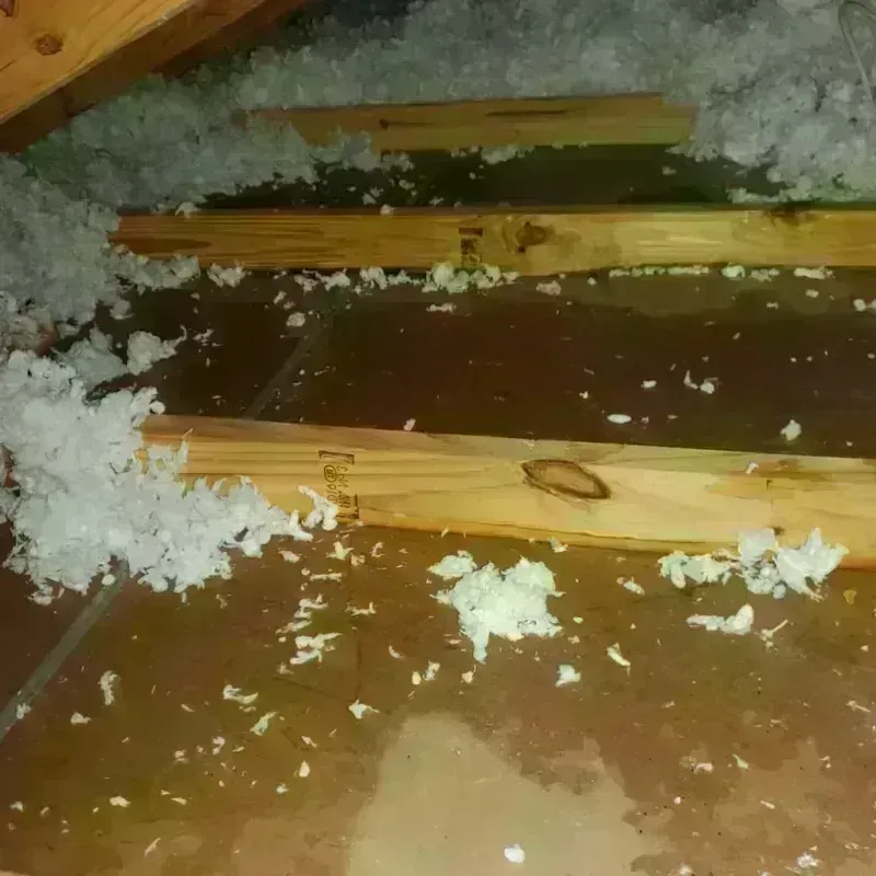 Attic Water Damage in Canton, MA